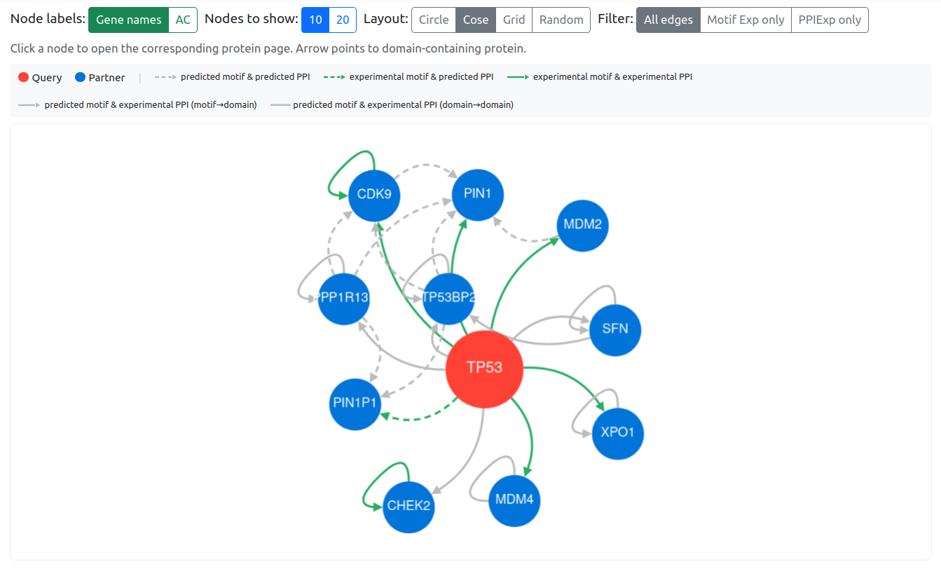 Protein interaction network